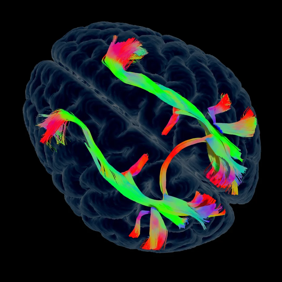 08 Visual Network